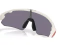 Oakley Stunt Devil A Naočare za sunce OO 9525 05