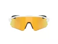 Oakley Stunt Devil A Naočare za sunce OO 9525 08