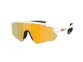 Oakley Stunt Devil A Naočare za sunce OO 9525 08