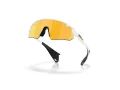 Oakley Stunt Devil A Naočare za sunce OO 9525 08