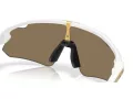 Oakley Stunt Devil A Naočare za sunce OO 9525 08