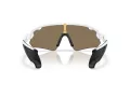 Oakley Stunt Devil A Naočare za sunce OO 9525 08