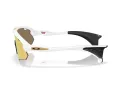 Oakley Stunt Devil A Naočare za sunce OO 9525 08
