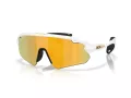 Oakley Stunt Devil A Naočare za sunce OO 9525 08