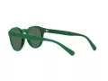 Polo Naočare za sunce PH 4184 601771