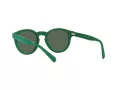 Polo Naočare za sunce PH 4184 601771