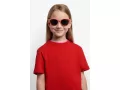 Polaroid Naočare za sunce PLD 8065/S 1N5/M9