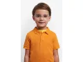 Polaroid Naočare PLD D842 MVU