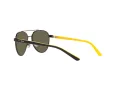 Polo Naočare za sunce PP 9001 9003/3