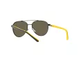 Polo Naočare za sunce PP 9001 9003/3