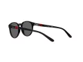 Polo Naočare za sunce PP 9502 5001/87