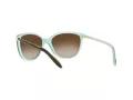 Ralph Ra5160 Naočare za sunce RA 5160 601/13