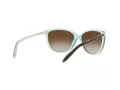 Ralph Ra5160 Naočare za sunce RA 5160 601/13