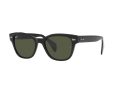 Ray-Ban Naočare za sunce RB 0880S 901/31