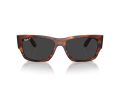 Ray-Ban Carlos Naočare za sunce RB 0947S 954/48