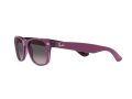 Ray-Ban New Wayfarer Naočare za sunce RB 2132 6606/M3