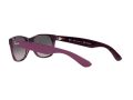 Ray-Ban New Wayfarer Naočare za sunce RB 2132 6606/M3