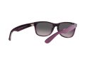 Ray-Ban New Wayfarer Naočare za sunce RB 2132 6606/M3