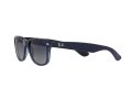 Ray-Ban New Wayfarer Naočare za sunce RB 2132 6607/78