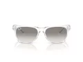 Ray-Ban New Wayfarer Naočare za sunce RB 2132 677432