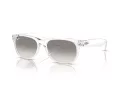 Ray-Ban New Wayfarer Naočare za sunce RB 2132 677432