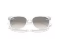 Ray-Ban New Wayfarer Naočare za sunce RB 2132 677432