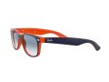 Ray-Ban New Wayfarer Naočare za sunce RB 2132 789/3F