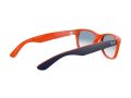 Ray-Ban New Wayfarer Naočare za sunce RB 2132 789/3F
