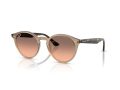 Ray-Ban Naočare za sunce RB 2180 678846