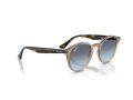 Ray-Ban Naočare za sunce RB 2180 6788V1