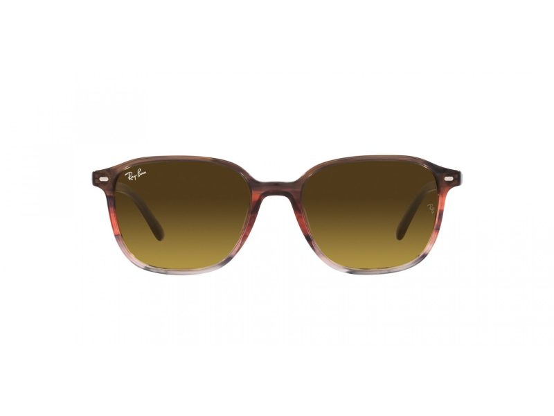 Ray-Ban Leonard Naočare za sunce RB 2193 138085