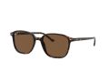 Ray-Ban Leonard Naočare za sunce RB 2193 902/57