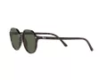 Ray-Ban Thalia Naočare za sunce RB 2195 902/31