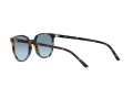 Ray-Ban Elliot Naočare za sunce RB 2197 13563M