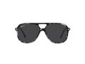 Ray-Ban Bill Naočare za sunce RB 2198 133348