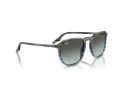 Ray-Ban Naočare za sunce RB 0RB2203 1391GK