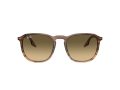 Ray-Ban Naočare za sunce RB 0RB2203 13920A