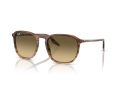 Ray-Ban Naočare za sunce RB 0RB2203 13920A