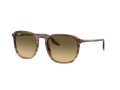 Ray-Ban Naočare za sunce RB 0RB2203 13920A