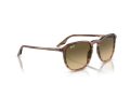Ray-Ban Naočare za sunce RB 0RB2203 13920A