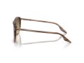 Ray-Ban Naočare za sunce RB 0RB2203 13920A