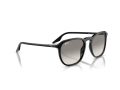 Ray-Ban Naočare za sunce RB 0RB2203 901/32