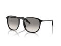Ray-Ban Naočare za sunce RB 0RB2203 901/32