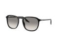 Ray-Ban Naočare za sunce RB 0RB2203 901/32