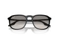 Ray-Ban Naočare za sunce RB 0RB2203 901/32
