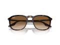 Ray-Ban Naočare za sunce RB 0RB2203 902/51