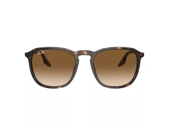 Ray-Ban Naočare za sunce RB 0RB2203 902/51