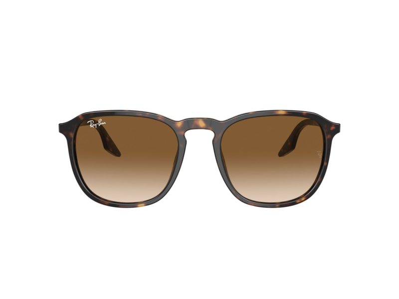 Ray-Ban Naočare za sunce RB 0RB2203 902/51