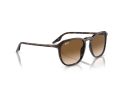 Ray-Ban Naočare za sunce RB 0RB2203 902/51