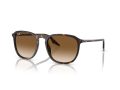 Ray-Ban Naočare za sunce RB 0RB2203 902/51
